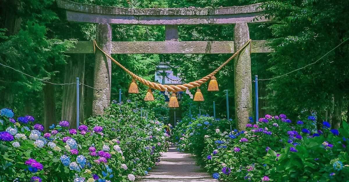 ⛩️ 바위산 신사 (이소야마 진자)